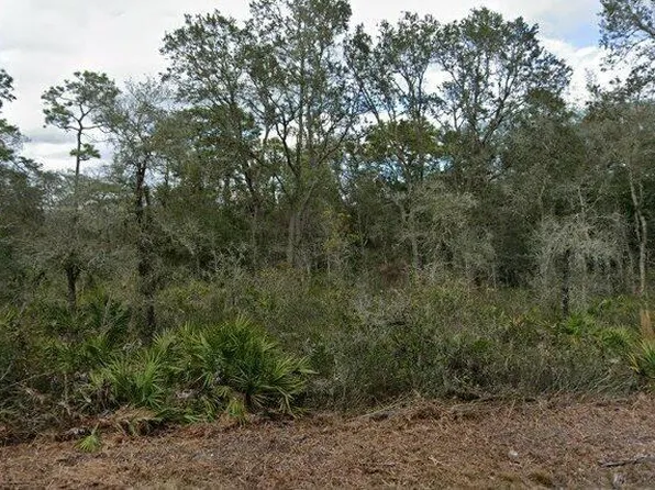 35023 Primrose Ln Lot 6, Webster, FL 33597