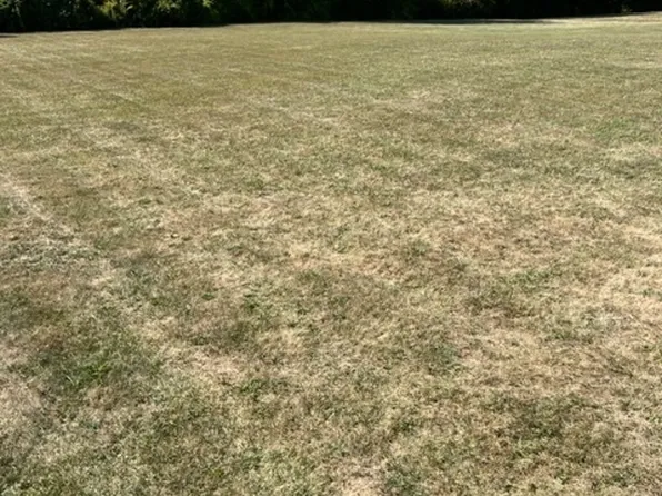 LOT 21 Hyland Meadows Dr, Knightstown, IN 46148