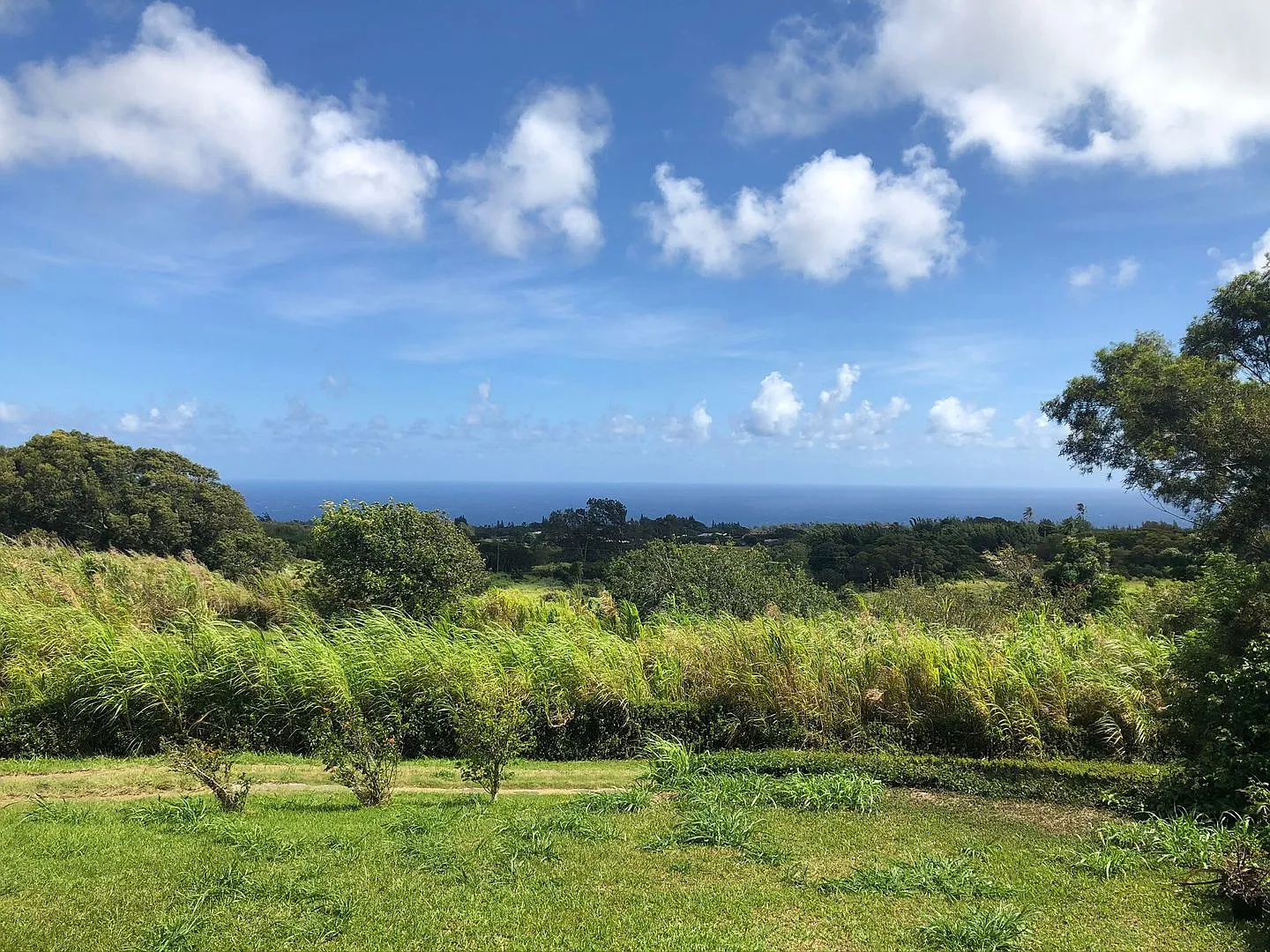 Fully Furnished Turn-Key 3 bd, 2 ba Ocean View Home In Hawi on 1 acre — Photo 2