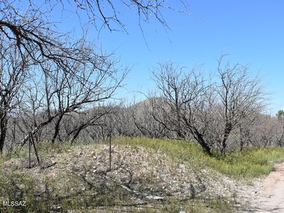 17306 W 4th St #0, Arivaca, AZ, 85601
