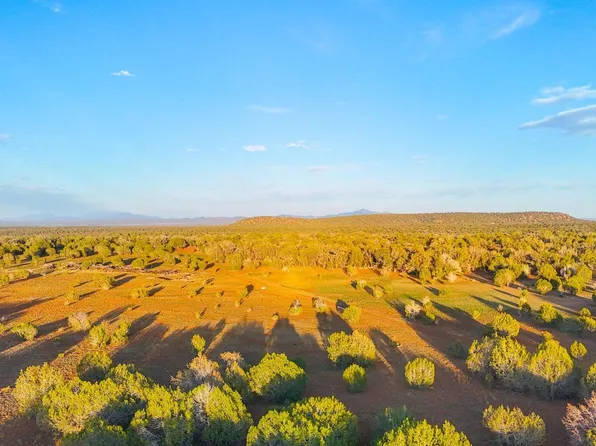 TBD N SIX SHOOTER TRL 20 ACRES -- #211, Ash Fork, AZ 86320