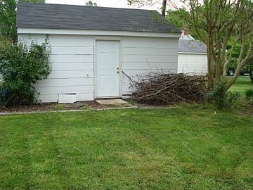back yard