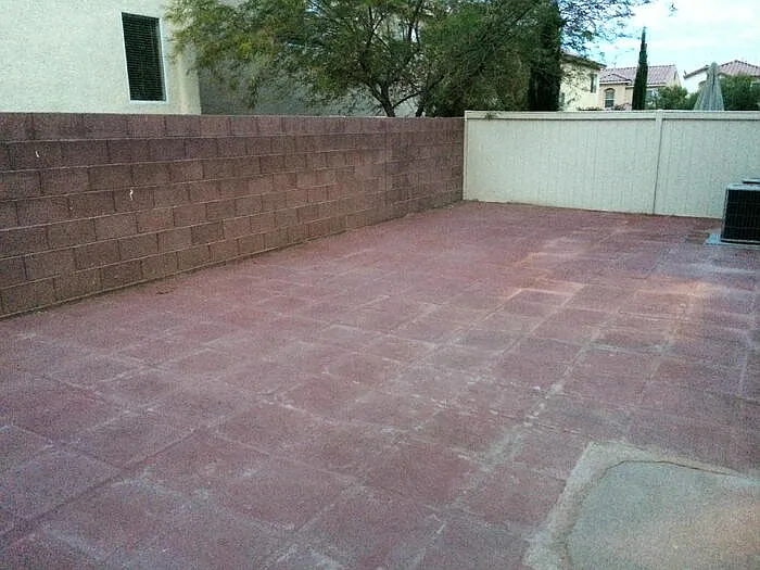 5038 Desert Dandelion Ct — Photo 13