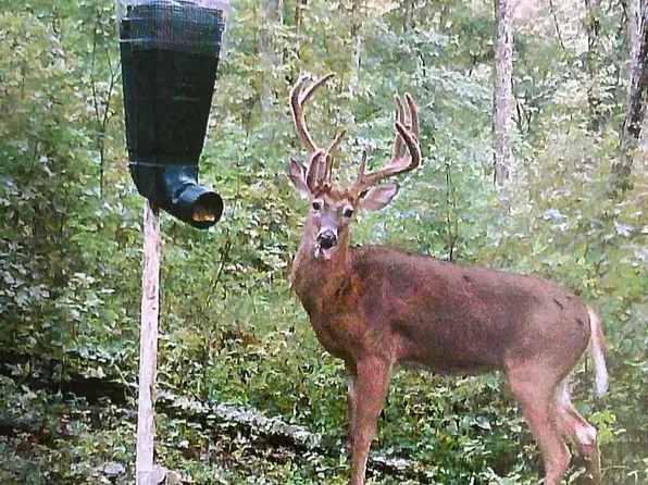 Stewartsville Rd, Williamstown, KY 41097