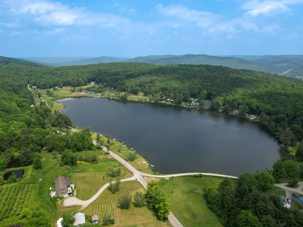 159 White Birch Lake Rd, Windsor, NY 13865