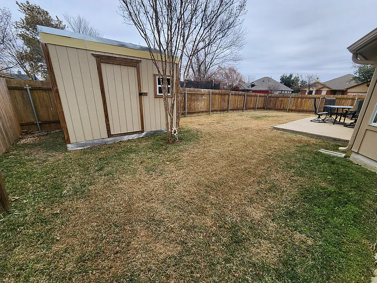 Backyard