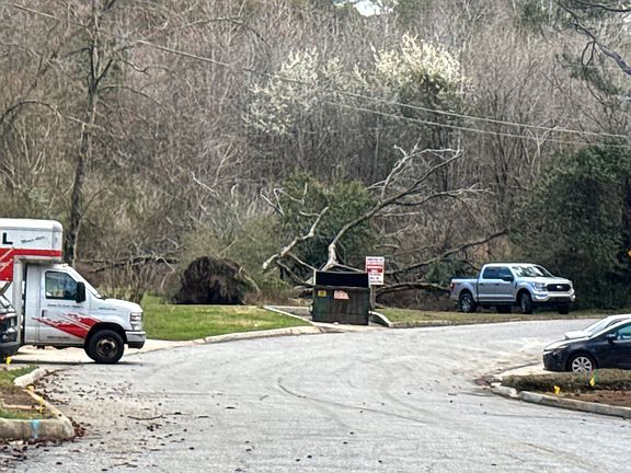 5th image of 1305 Grantland Rd