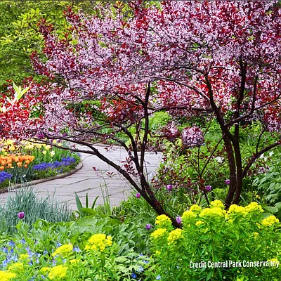 Rented by Compass | media 6