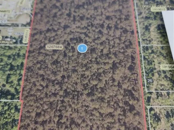 State Road 40 Lot 68, Astor, FL 32102