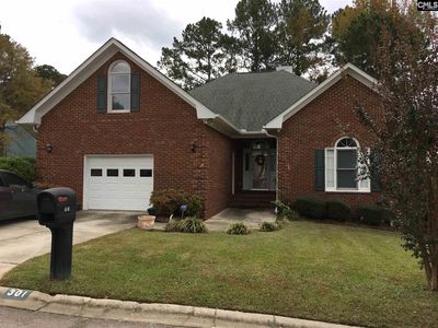 301 Willowood Pkwy, Chapin, SC, 29036