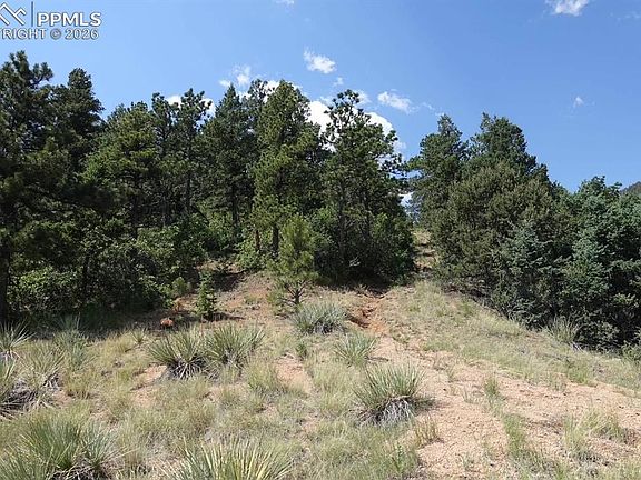 5th image of 292 Sugarloaf Rd