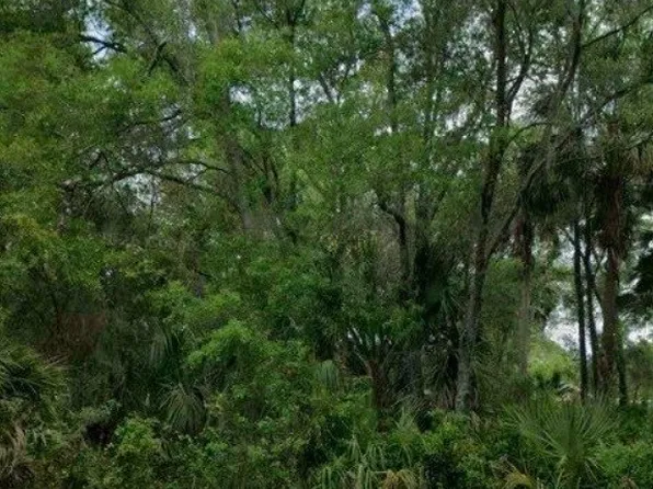 11111 W Samson Ln, Crystal River, FL 34428