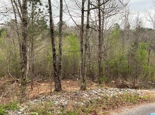 W Lakeshore Dr Tract B, Oneonta, AL 35121