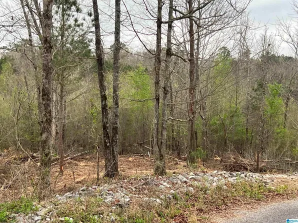 W Lakeshore Dr Tract B, Oneonta, AL 35121