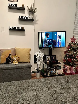 Rented by Manhattan Modern | media 12