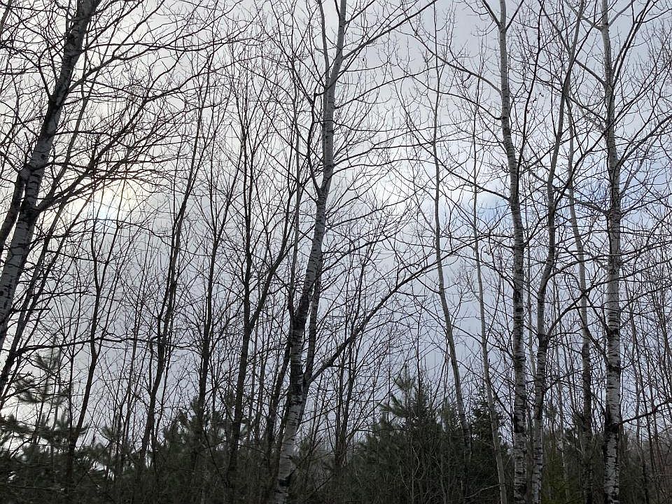 2nd image of On Hemlock Lake Rd