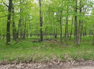 8083 W 11 1/2 Mile Rd, Irons, MI 49644