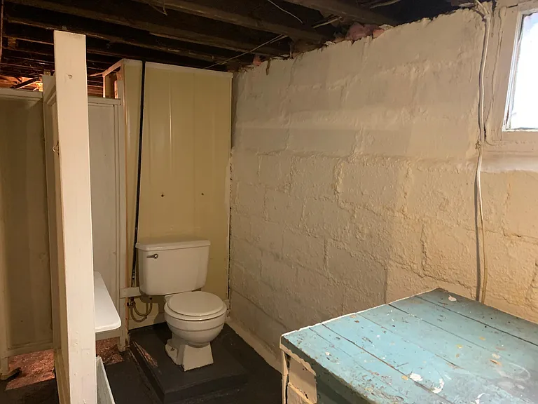 basement toilet