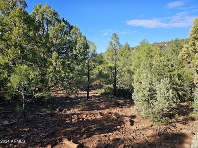 LOT 52 N Big Als Run, Payson, AZ, 85541