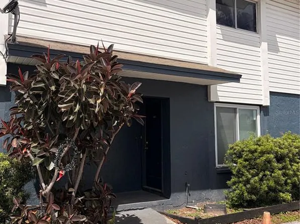 13052 Londondary Pl, Tampa, FL 33612