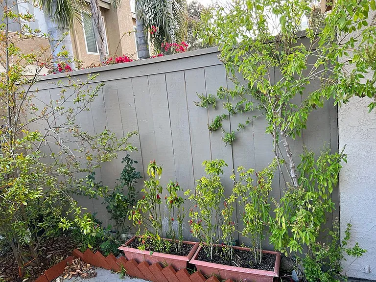 3687 Caminito Carmel Lndg — Photo 10