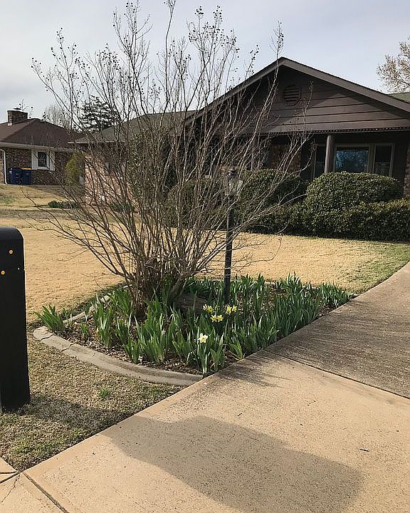 Front yard 