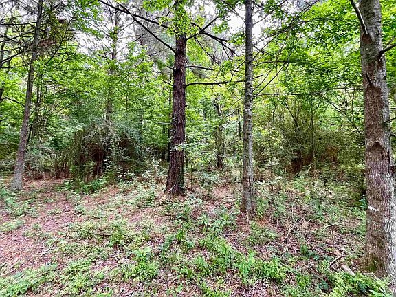 5th image of 5 Tom Drehr Rd