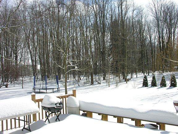 back yard from deck, winter
