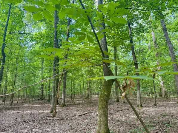 Melkovitz Rd, Hazen, AR 72064