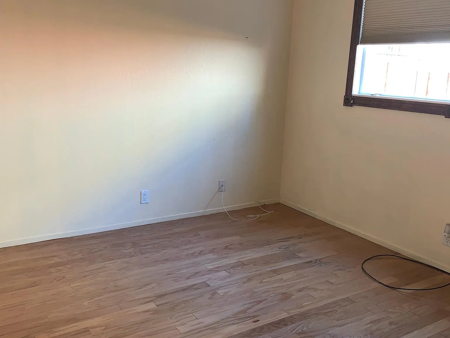 1 bed, 604 sqft, $1,900 — Photo 2