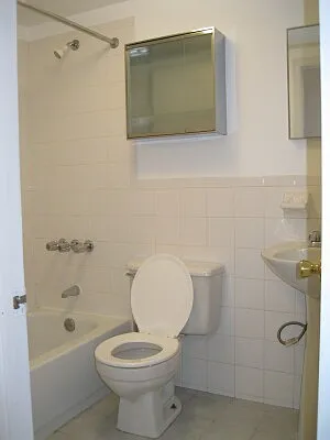 Rented by Tower Brokerage | media 55