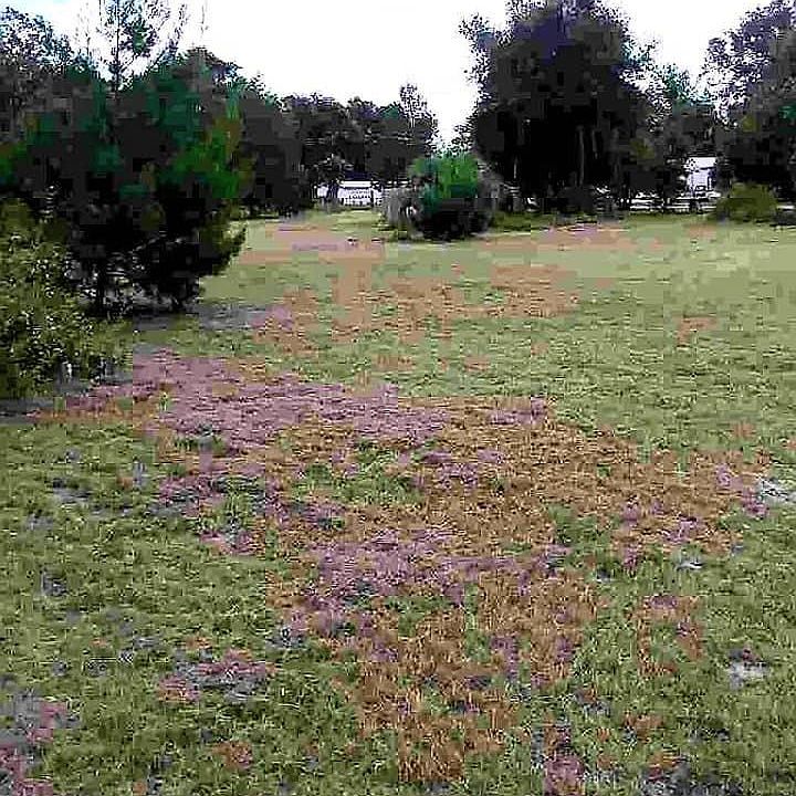 2nd image of 14681 NE 28th Pl