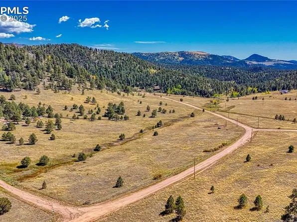 667 Penrose Cir, Florissant, CO 80816