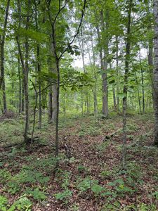 51 Lake Dr, Crimora, VA, 24431