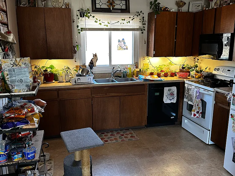 204 Haywood Dr #204 — Photo 7