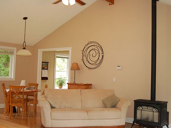 Propane Fireplace Stove