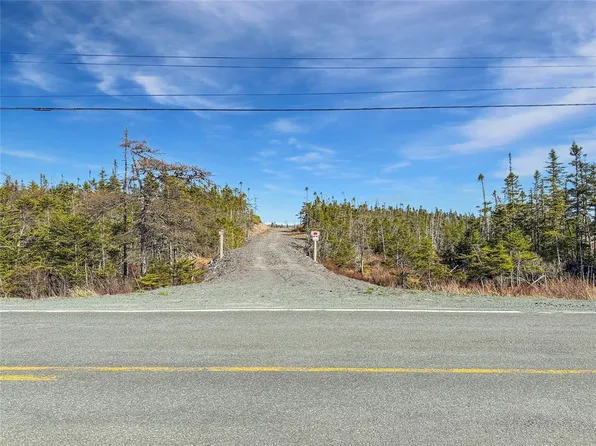 556 Salmonier Line, Salmonier, NL A0A2R0