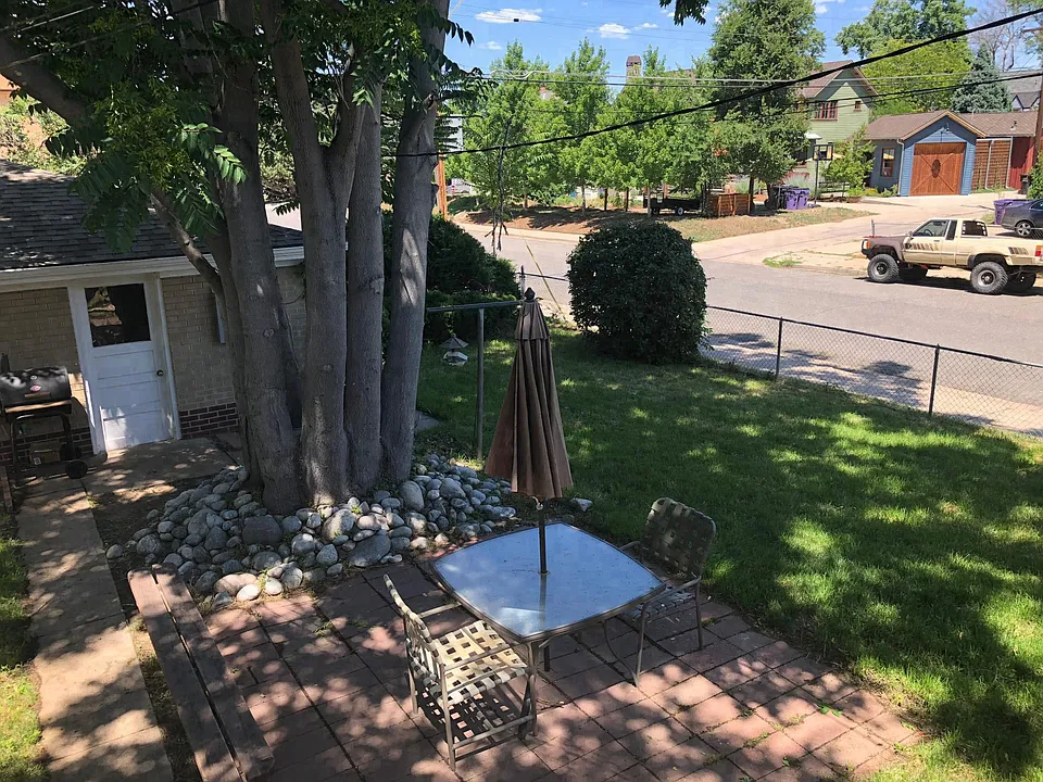 Backyard 2