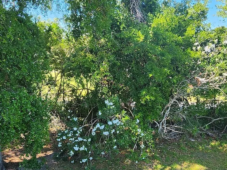 2109 Hidden Grove Ln #22B — Photo 18