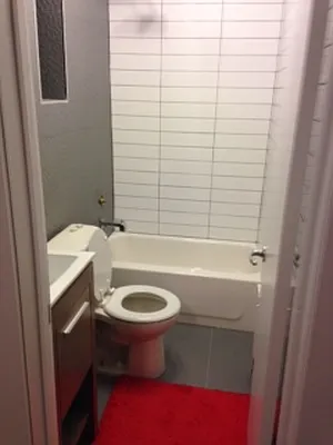 Rented by 5 Boro Realty Corp | media 27