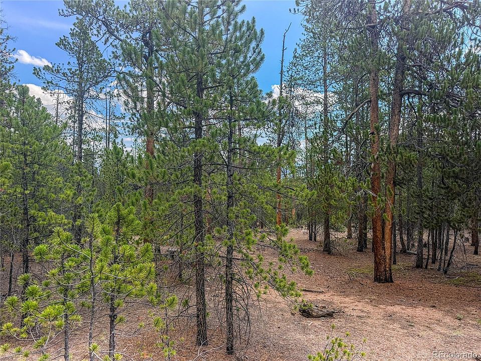 2nd image of 569 Birch Drive LOT 448