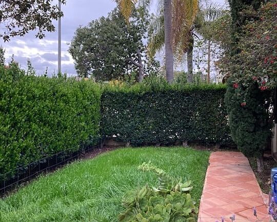 4th image of 1262 S Citrus Ave