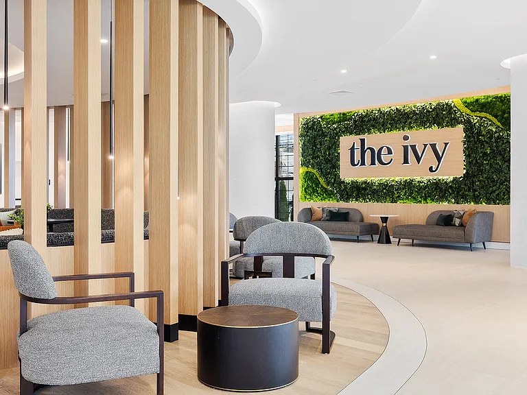 The Ivy — Photo 17