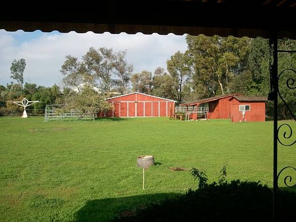 Rear Yard in the Spring