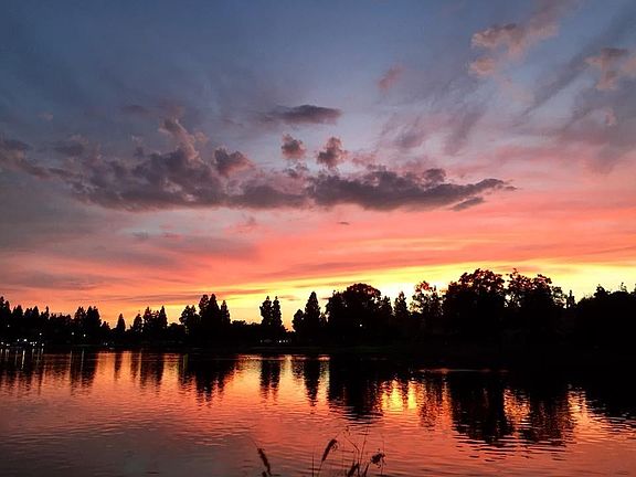 The lake has a well-maintained bike and walking path, ducks, turtles and stocked with fish.