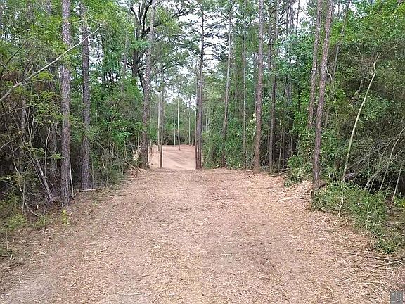 3rd image of 83234 Isabel Swamp Rd