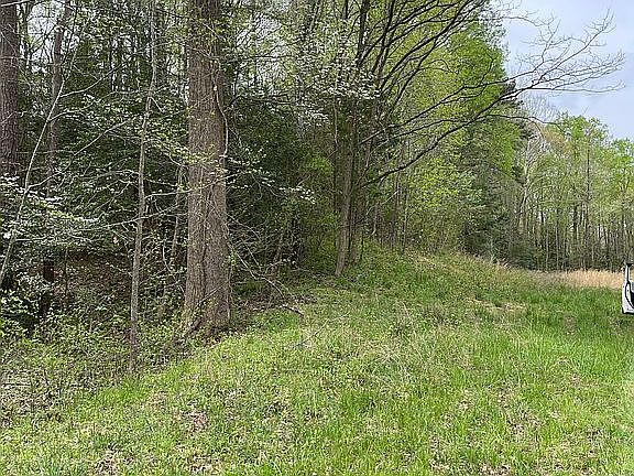 3rd image of 5.7 Historyland Hwy