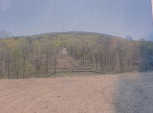 1 Mountain View Ln, Lloyd, NY 12528