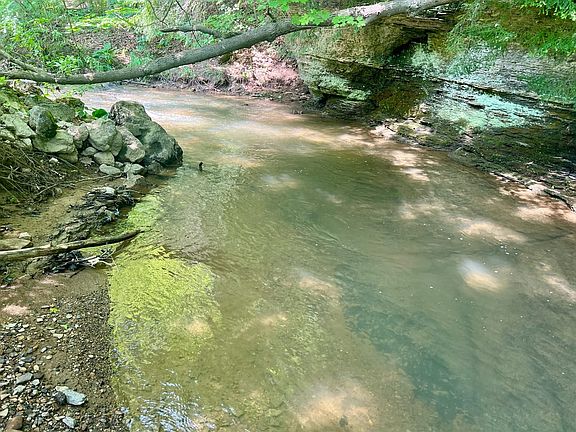 2nd image of Oak Grove Rd