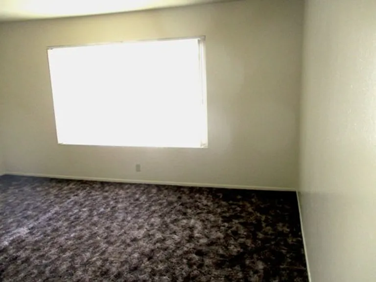 200 — Photo 8